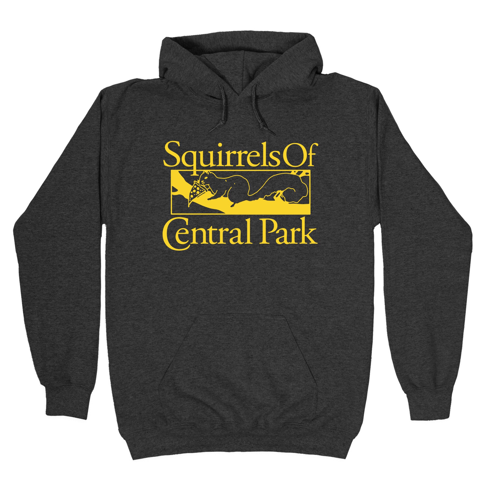 Squirrels of Central Park Hoodie